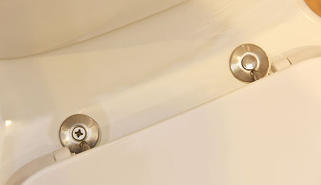 Toilet bolts